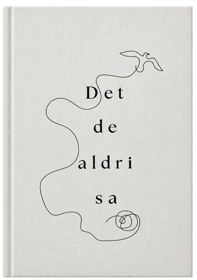 Det de aldri sa