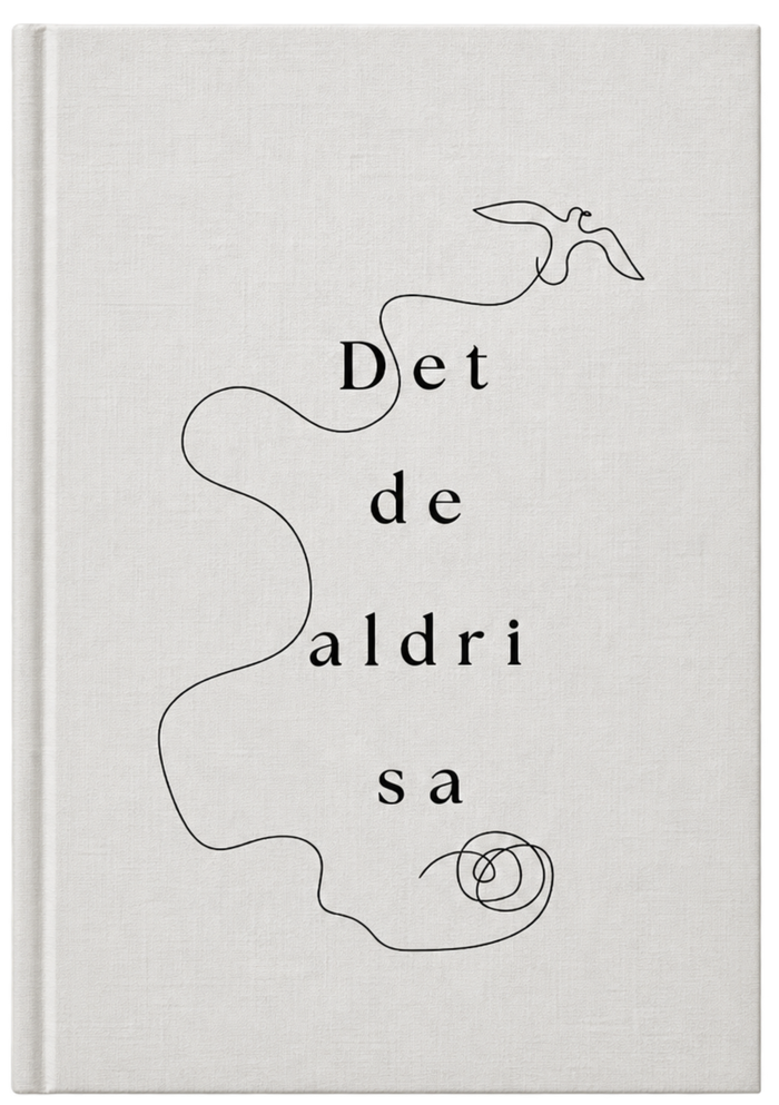 Det de aldri sa