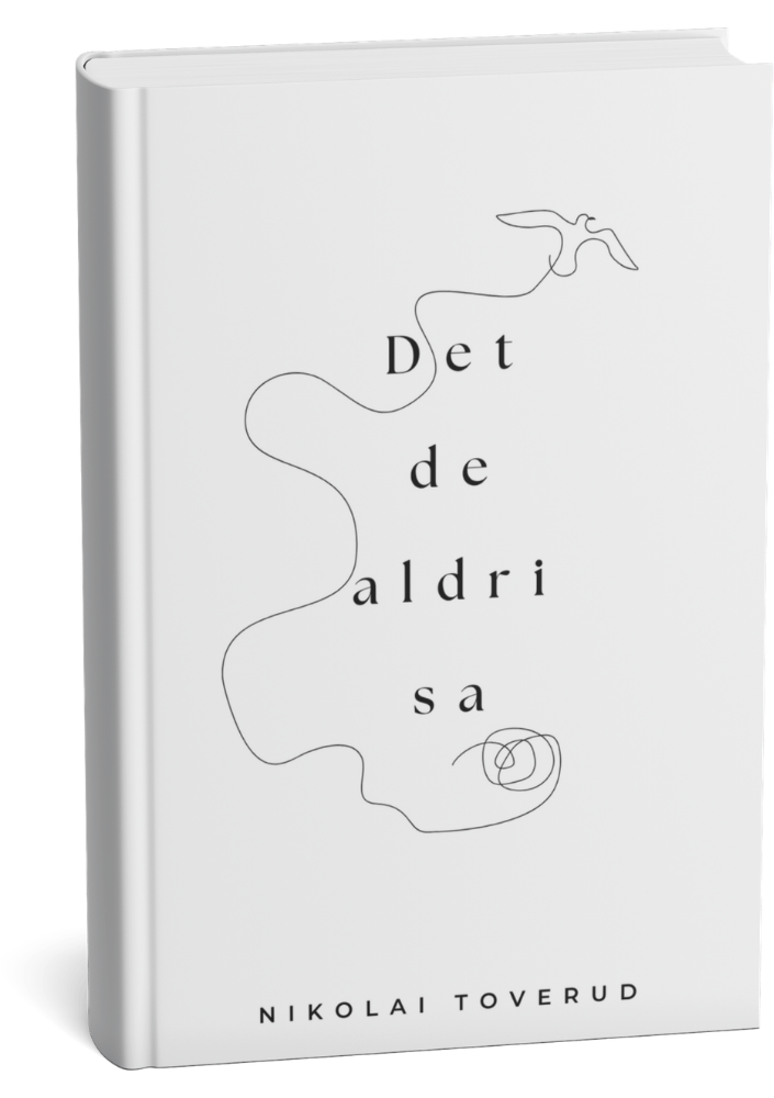 Det de aldri sa