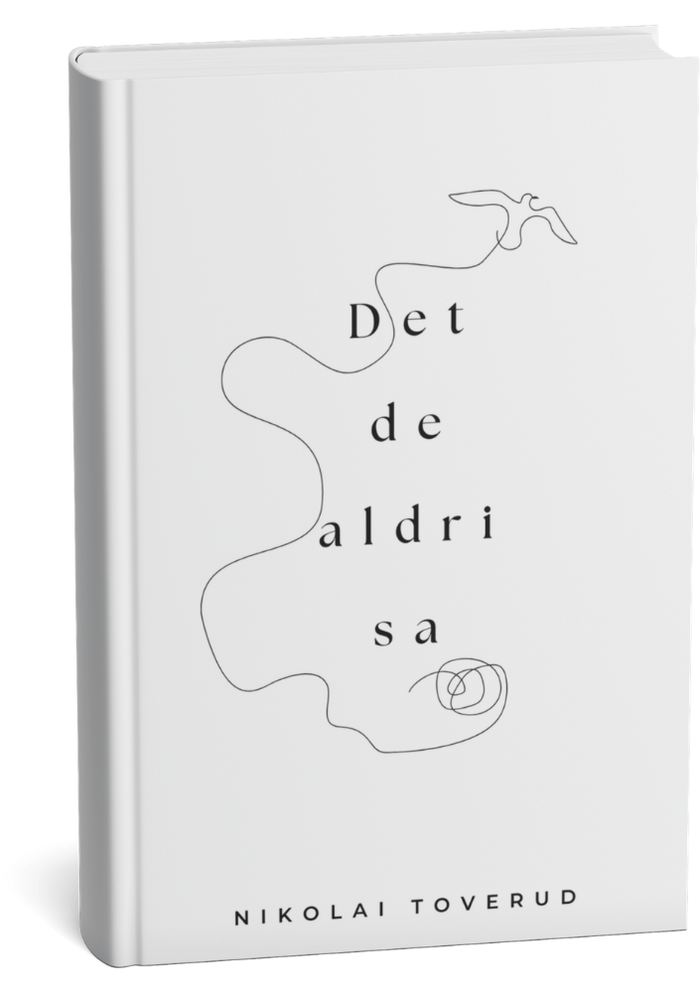 Det de aldri sa